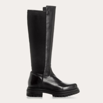Botte Reqins
